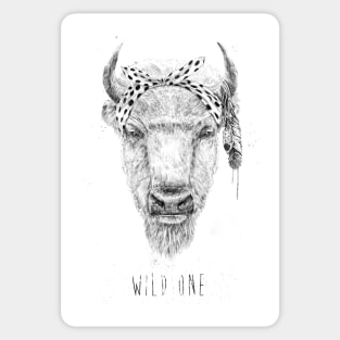 Wild one Sticker